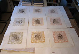 Atelier Pom